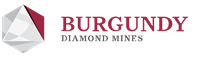 Burgundy Diamond Mines logo featuring a geometric diamond symbol and red text.